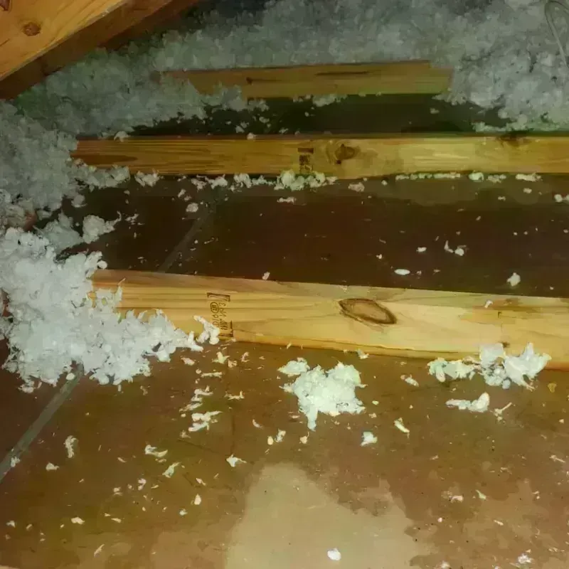 Attic Water Damage in Ellis, KS