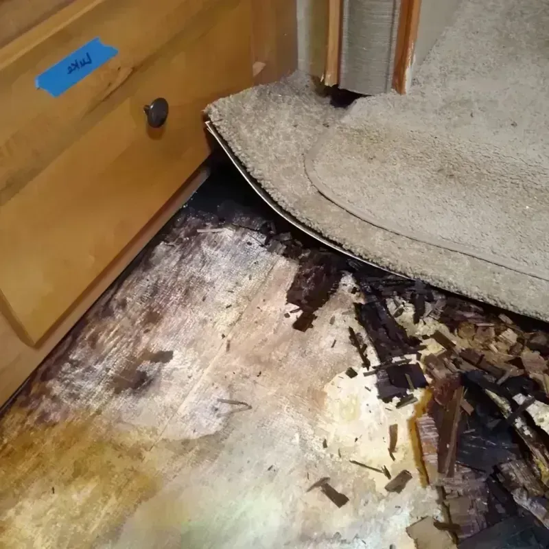 Wood Floor Water Damage in Ellis, KS